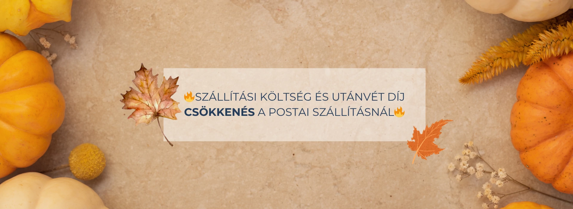 Szállítási díj csökkenés