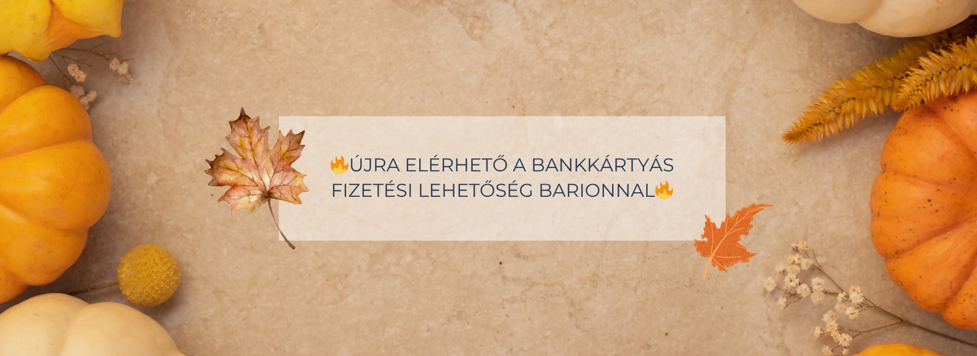 Bankkártyás fizetés